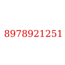 8978921251