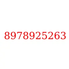 8978925263