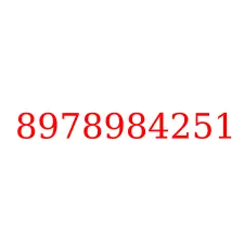 8978984251