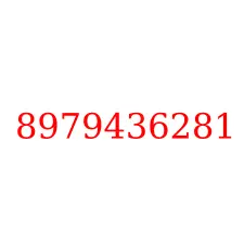 8979436281