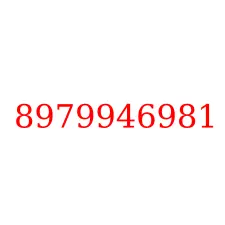 8979946981