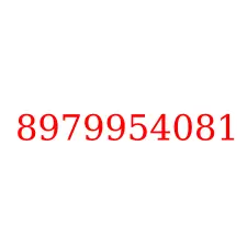 8979954081