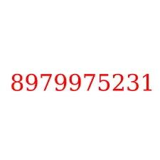 8979975231