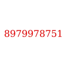 8979978751