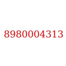 8980004313