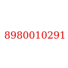 8980010291
