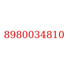 8980034810