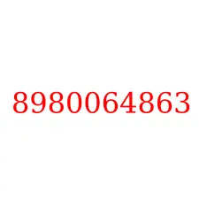 8980064863