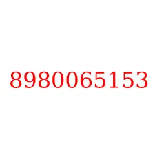 8980065153