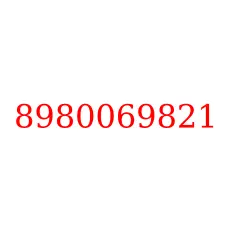 8980069821
