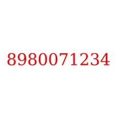 8980071234
