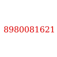 8980081621