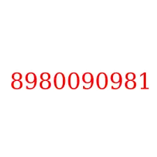 8980090981