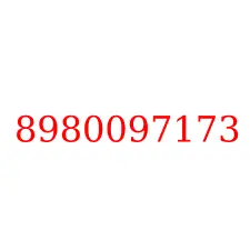 8980097173