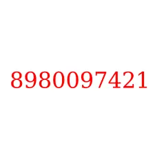 8980097421