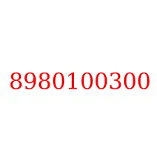 8980100300