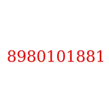 8980101881