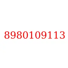 8980109113