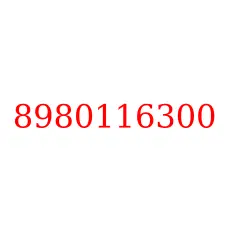 8980116300