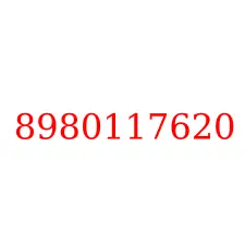 8980117620