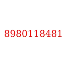 8980118481
