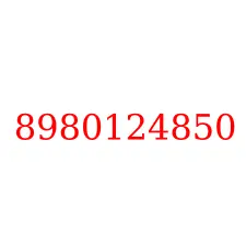 8980124850