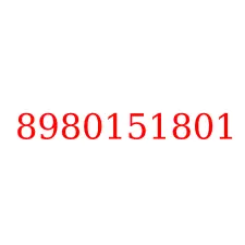 8980151801