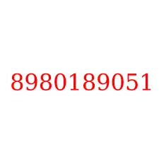 8980189051