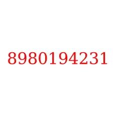 8980194231