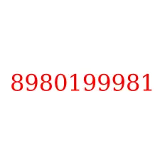 8980199981