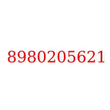 8980205621