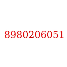 8980206051