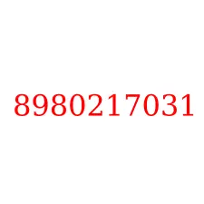 8980217031