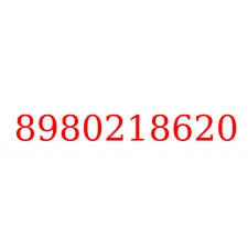 8980218620