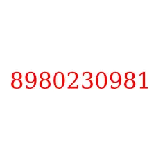 8980230981