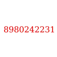 8980242231