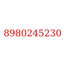 8980245230