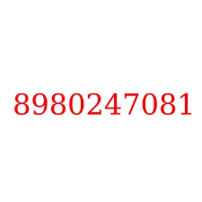 8980247081