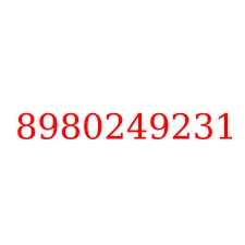 8980249231