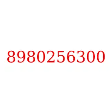8980256300