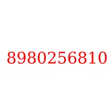 8980256810