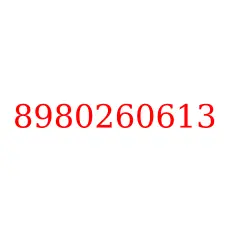 8980260613