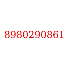 8980290861