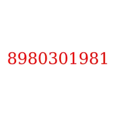 8980301981