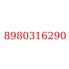 8980316290
