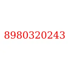 8980320243