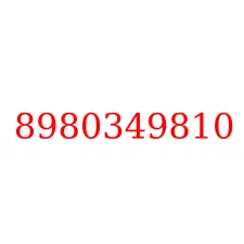 8980349810