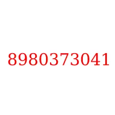 8980373041
