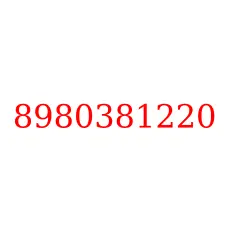 8980381220