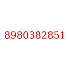 8980382851